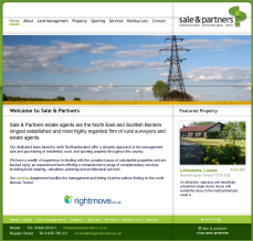 Sale & Partners - estate management logo